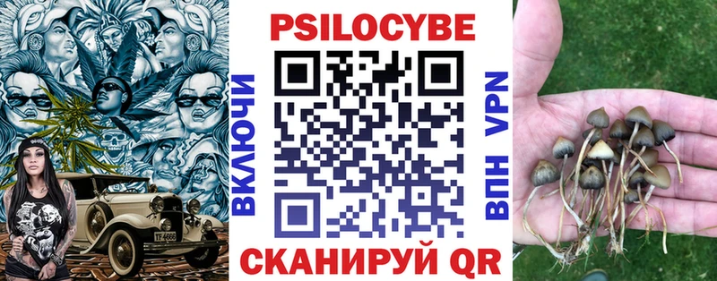 продажа наркотиков Слюдянка Псилоцибиновые грибы мицелий
